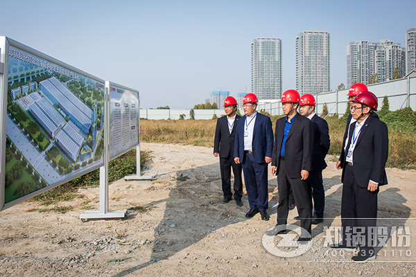 ��˾�߲���һ���Ӳ켯�Ÿ������鿪չ����