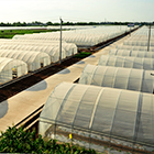 ca88ֻͻ(׿/ƻ)CA88Ա¼