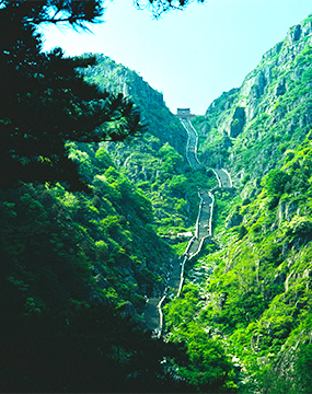 ca88ֻͻ(׿/ƻ)CA88Ա¼