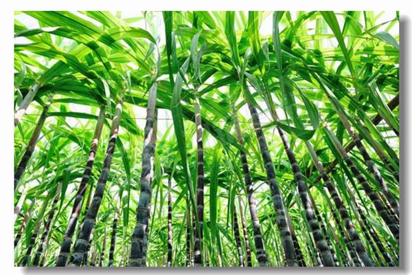 348 Ñ»·Á÷»¯´²¹øÂ¯½øË®Ê±ÓÐÄÄЩ»®¶¨?