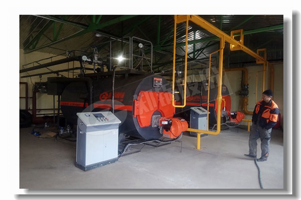 526 蘑菇加工厂用自然气蒸汽锅炉