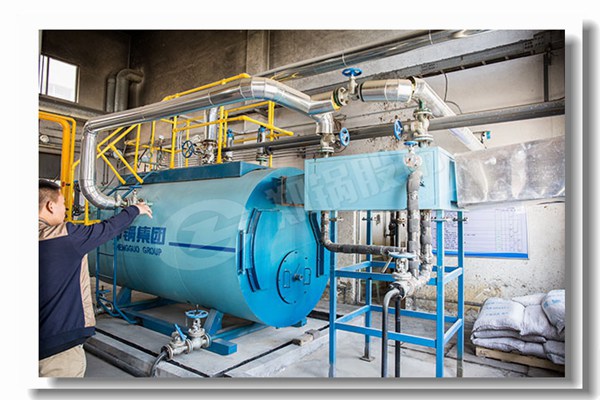 620 È¼ÆøÈ¼ÉÕÆ÷1¶Ö×ÔÈ»ÆøÈ¼ÁÏÕôÆû¹øÂ¯