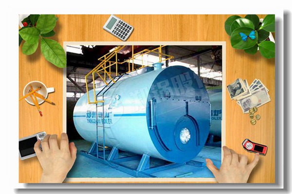 683 容量为1001公斤的蒸汽锅炉