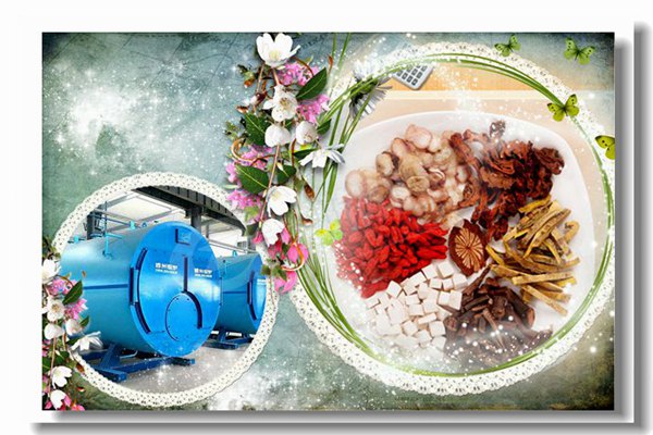 704 60吨制糖厂蒸汽锅炉